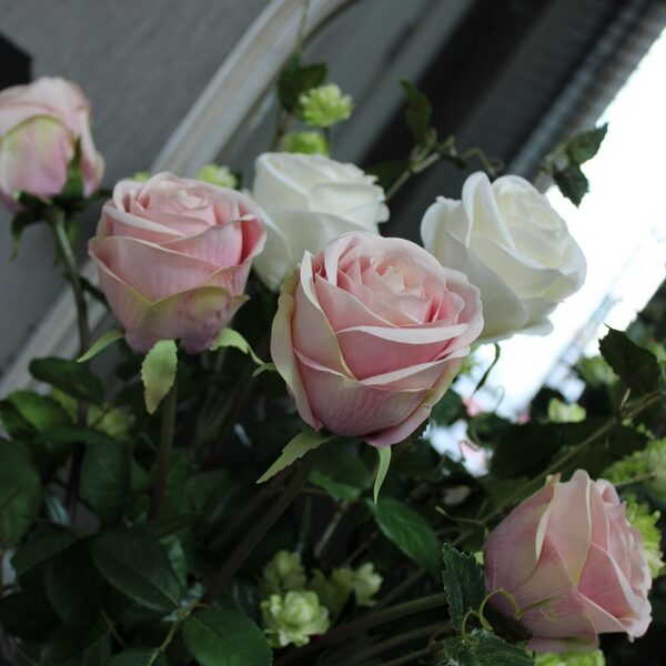 Soft Pink Vienna Rose